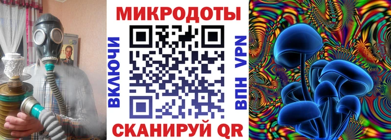 кракен маркетплейс  купить наркоту  Кисловодск  Псилоцибиновые грибы Psilocybine cubensis 